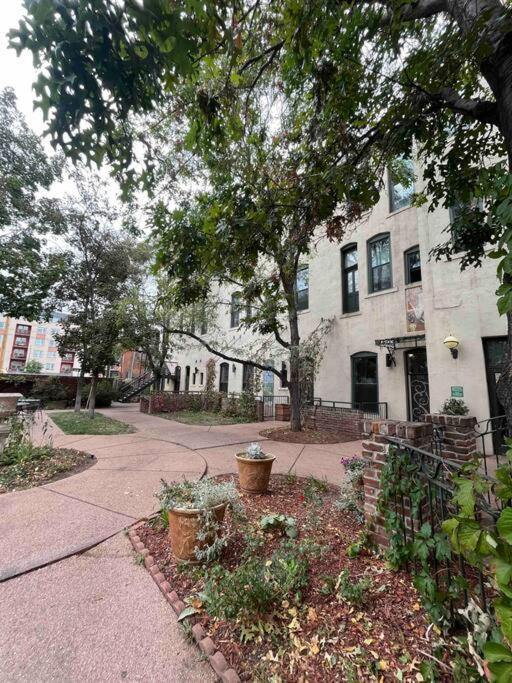 Affordable & Chic Rino/Lodo/Dtown Loft- Walkable Daire DEN Dış mekan fotoğraf